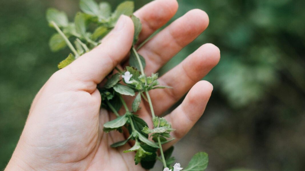 Melissa O’Neil Net Worth: How Much Is The Canadian Actress Worth