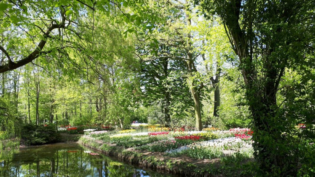 Uncovering Anna Shumate’s Real Age: The Truth Revealed