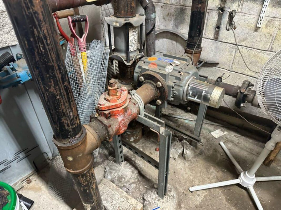 The Age of Mya Nicole: Unveiling the Mystery