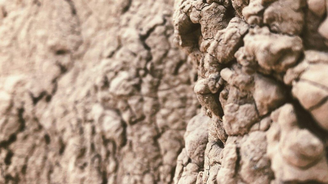 Dakota Laden Net Worth: Unveiling the Wealth of the Fearless Explorer