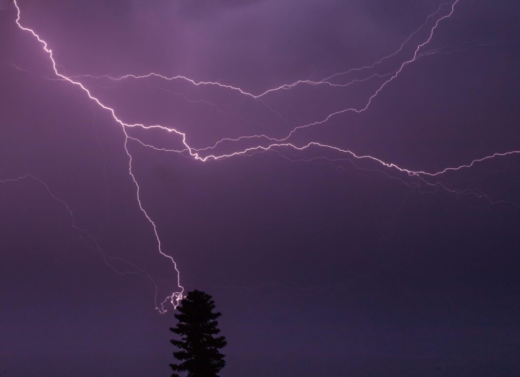 The Age of Yerin Ha: Everything You Need to Know