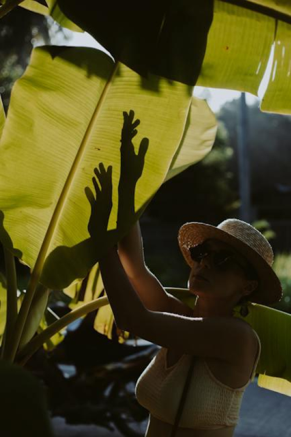 How Tall Is Big Freedia: Unveiling the Queen of Bounce’s Height
