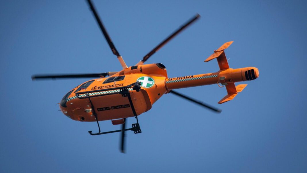 The Height of Kacie McDonnell: Everything You Need to Know