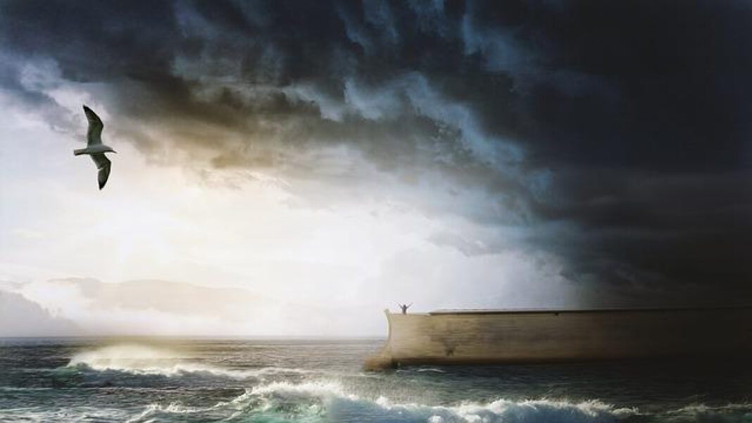 The Age of Patricia Noah: Unraveling the Mysterious Story
