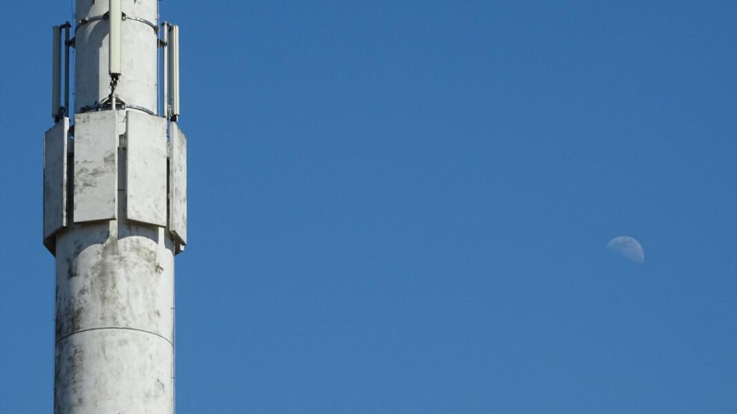 Discover the Fascinating Bio of Astrid Bavaresco