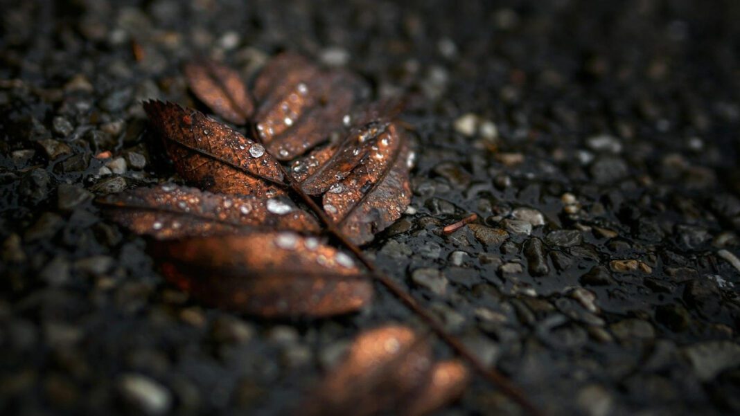 Is Bruno Tonioli Married? Exploring the Personal Life of the Dancing with the Stars Judge