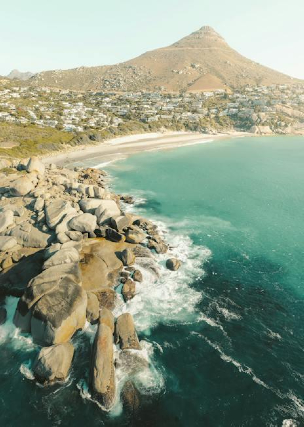 The Enigmatic Sea Bunny: A Fascinating Creature of the Ocean