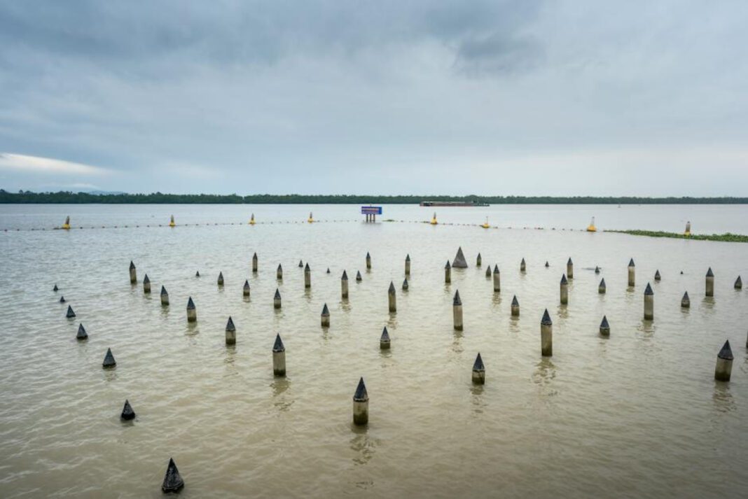 Aja Dang Age: The Inspiring Story of A Successful Blogger