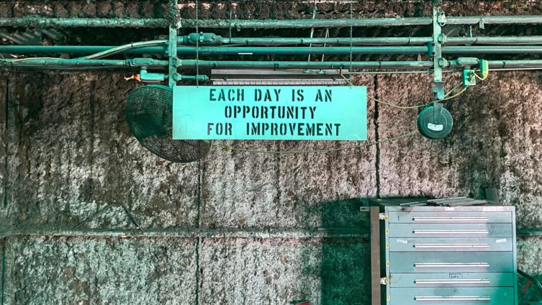 Emmylou Harris Net Worth: The Life and Career of a Country Music Legend