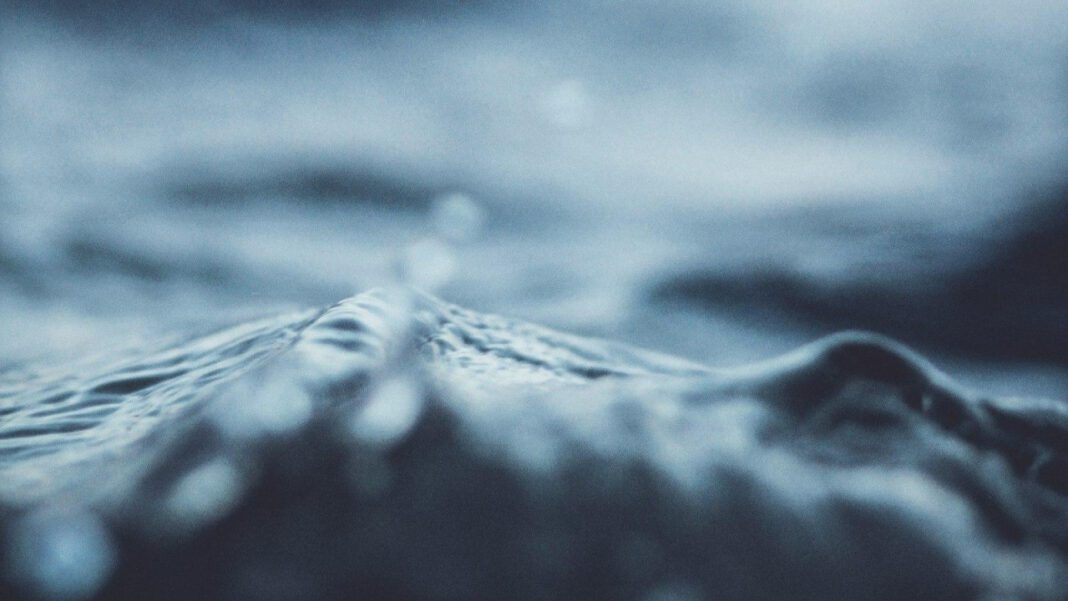 Paislee Nelson: Age, Biography, and More