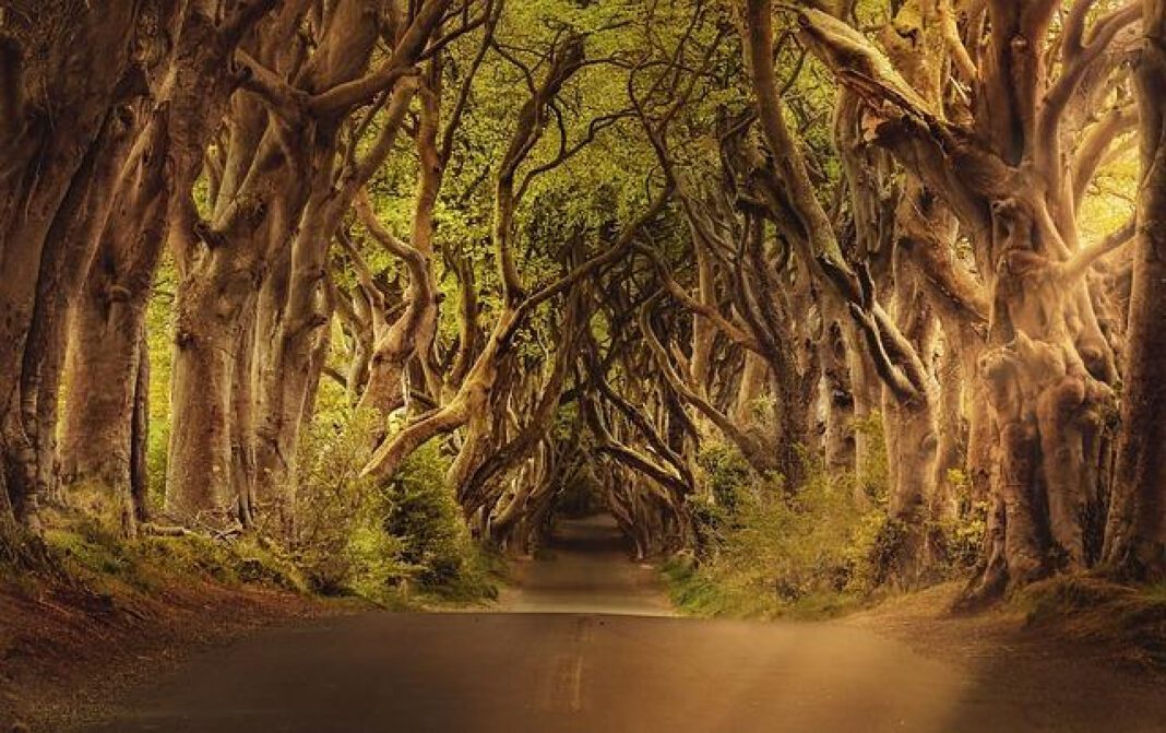 Discover the Detailed Ireland Map: Regions, Cities, and Landmarks