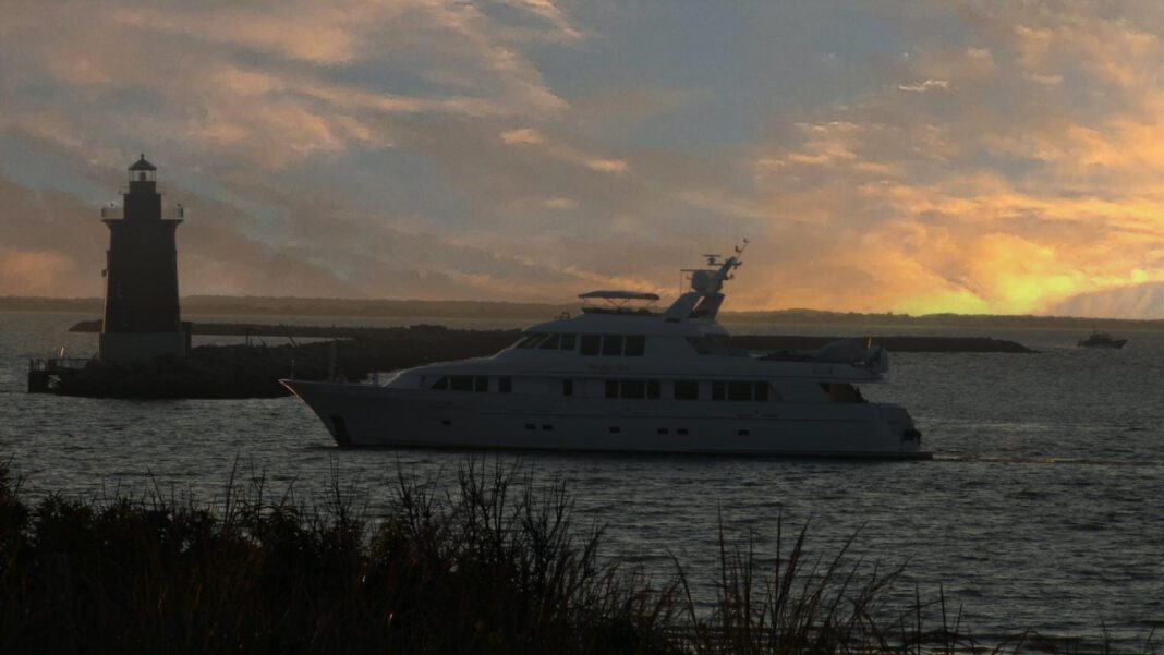 Anne de Paula Net Worth: A Look Into the Model’s Wealth