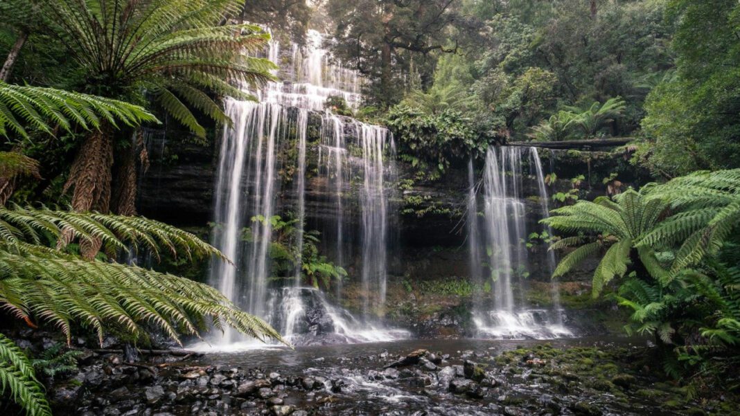 The Tragic Life of Beebo Russell: A Story of Heartbreak and Resilience