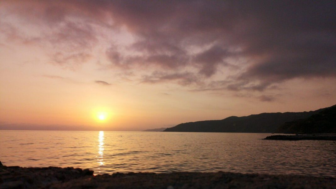 Matteo Denaro Net Worth: How Much Is the Italian Mob Boss Worth in 2021