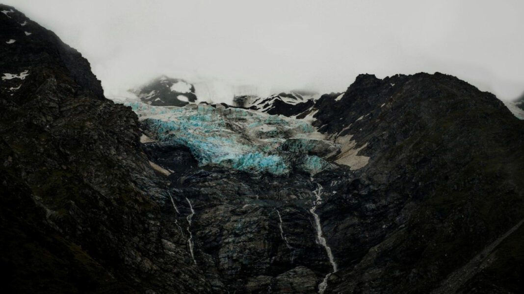 The Tragic Story of Janice Hooker: A Tale of Survival and Strength