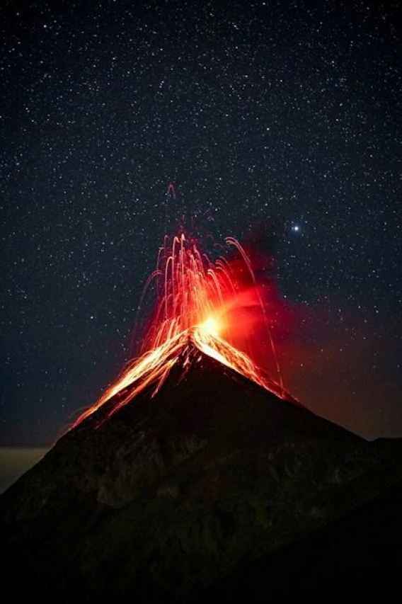 Meet Lauren Ash’s Husband: A Look into the Actress’s Personal Life