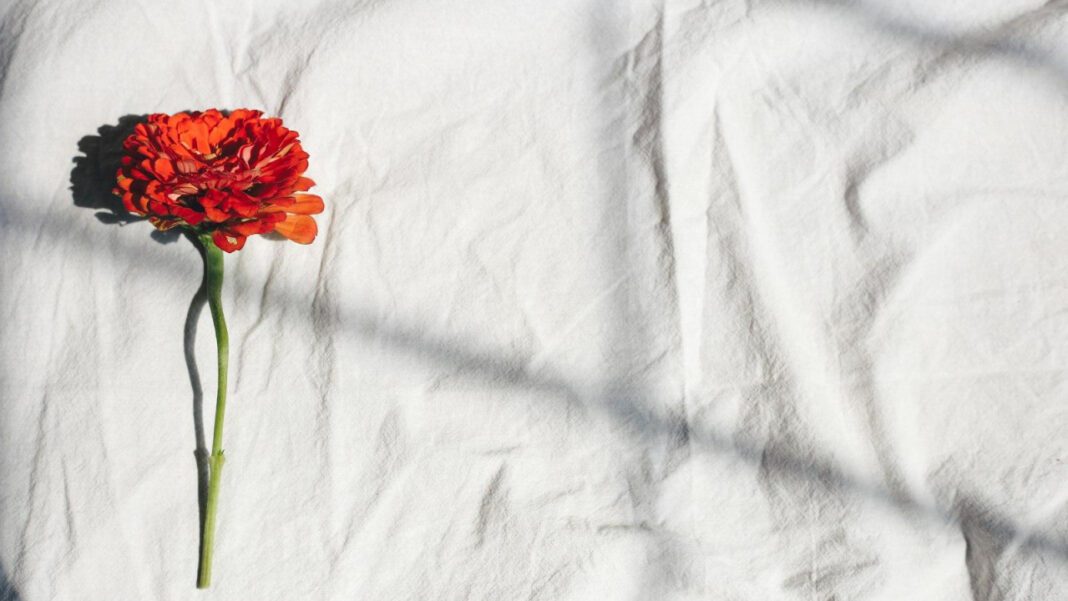 The Tragic End of Janis Joplin: How Did the Iconic Singer Die