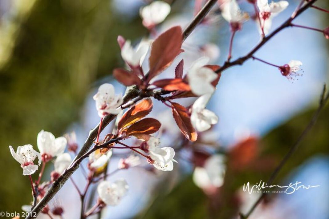 Captivating Historical Figures: Unforgettable Stories