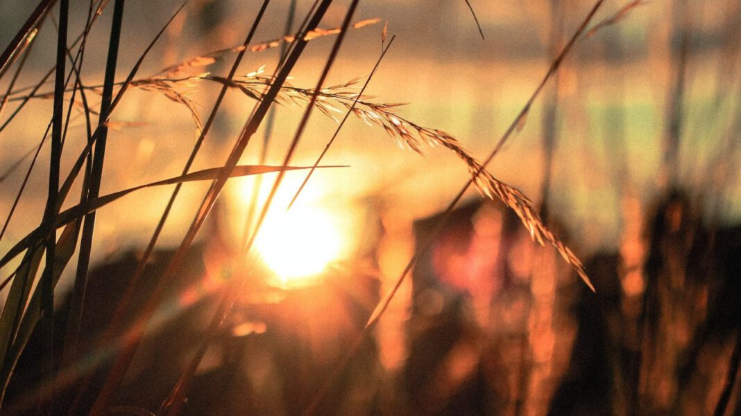 Finding Hope: The Search for an Accurate Angel