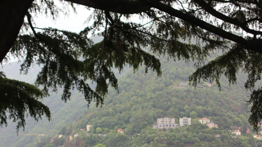 The Alex Peric Net Worth: A Biography