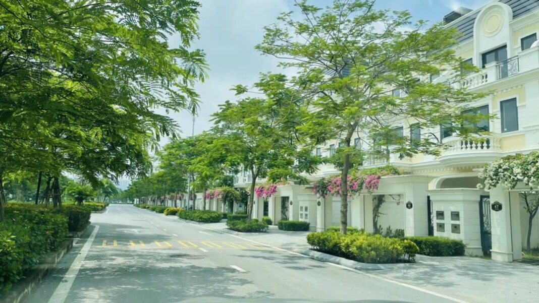 Discover the Enchanting World of Cool Mushrooms