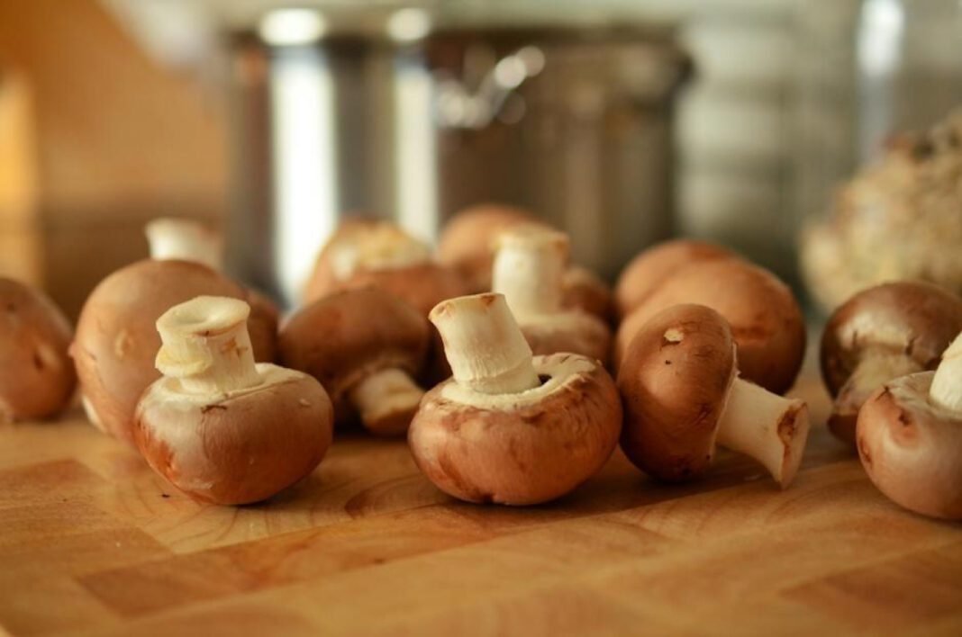 Discover the Fascinating World of Weird Mushrooms