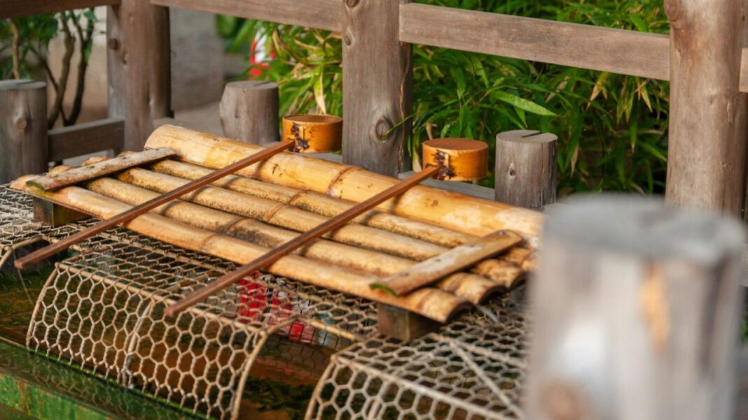 The Mysterious Disappearance of Patrick Kim McDermott