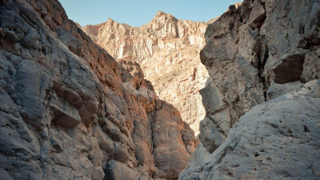 The Tragic Death of Pete Davidson’s Father