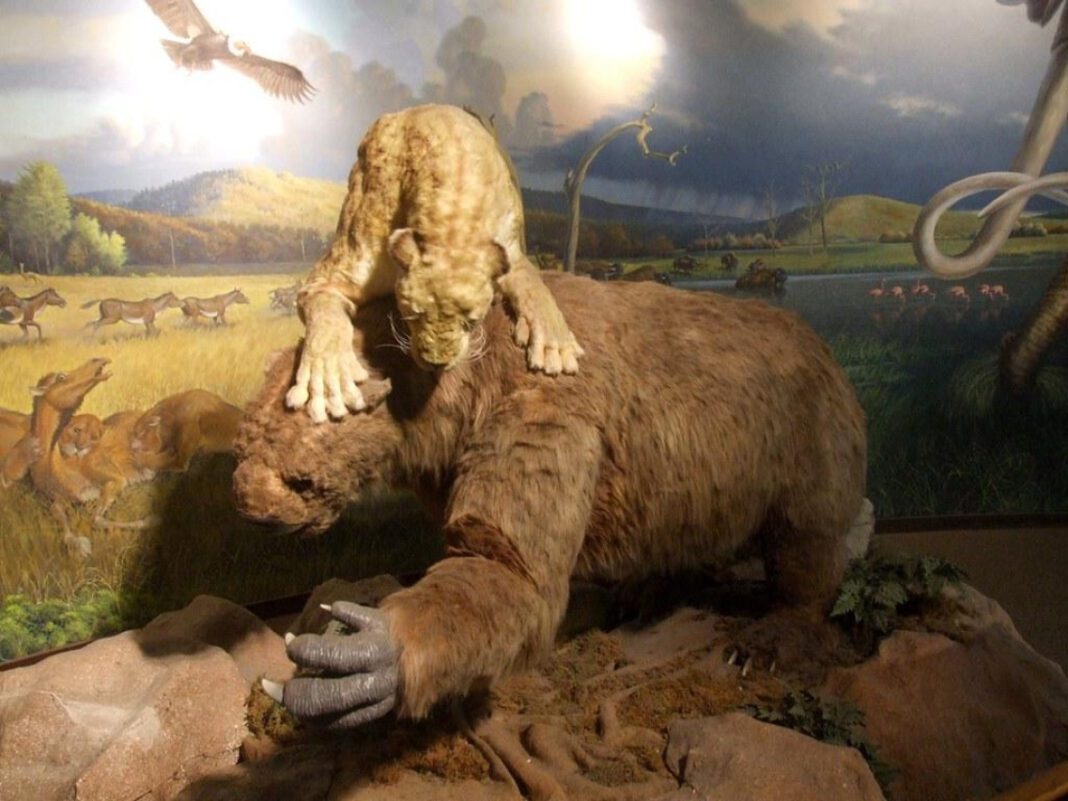 Discover the Enormous Giant Sloths of Peru