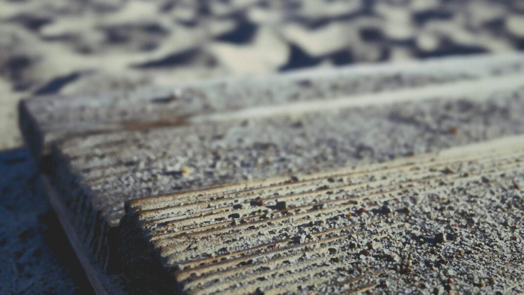 The Disturbing Biography of Tracey Jeffrey Dahmer