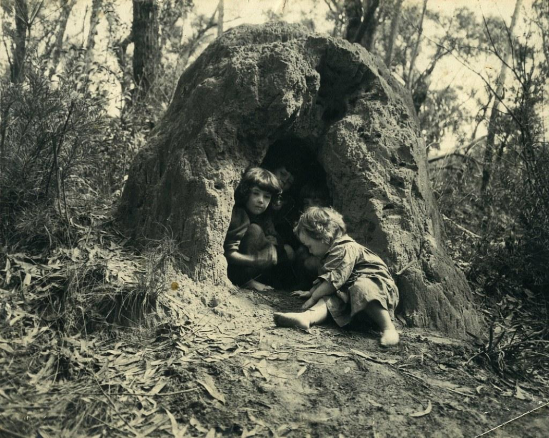 The Dark Tale of the Anthill Kids