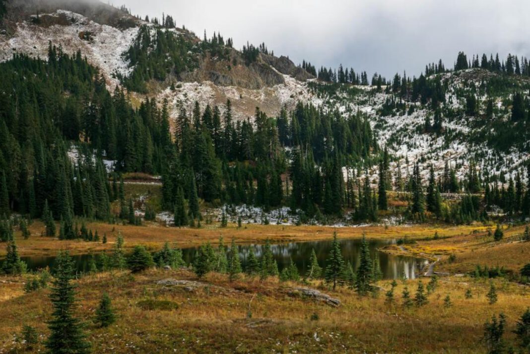 The Complicated Relationship Between Jeffrey Dahmer and His Mother