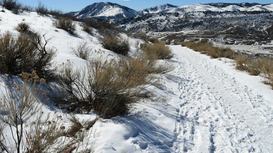 Pamela Morrison: The Life and Legacy of a Remarkable Woman