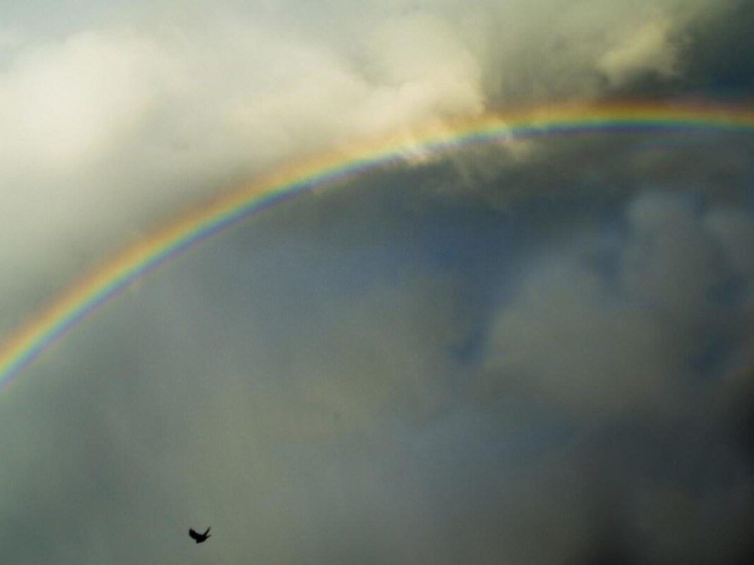 The Untimely Death of Israel Kamakawiwo’ole