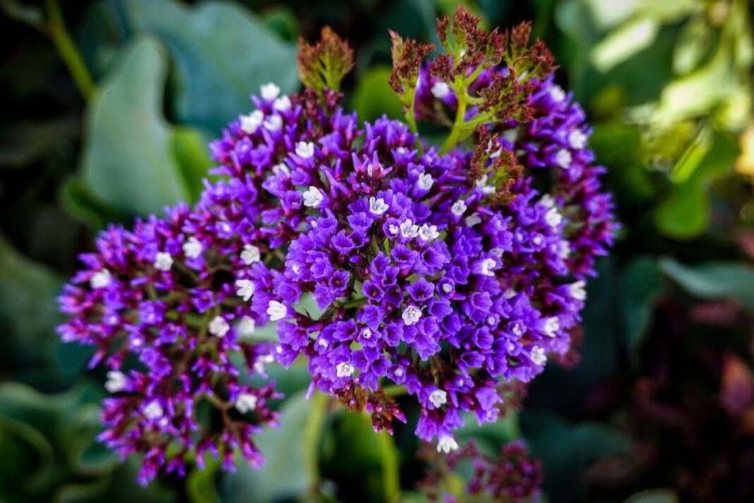 The Tragic Story Behind Yolanda Killing Selena Perez