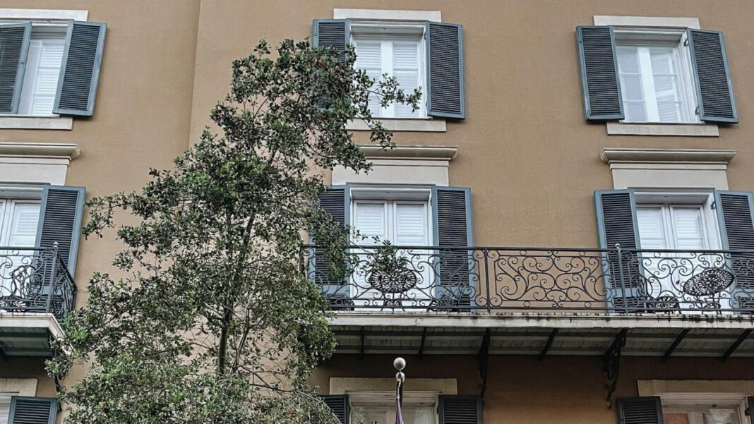 The Rise and Fall of La Máyiza Cartel: A Biographical Account