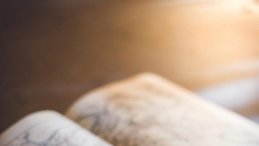 Uncovering the Ancient Titanoboa Fossil