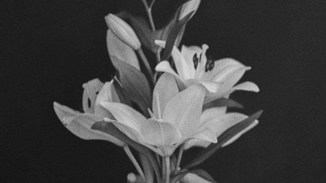 The Real Inspiration Behind Don Corleone