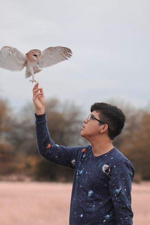 Uncovering the Mysterious Phenomenon of the Rat King