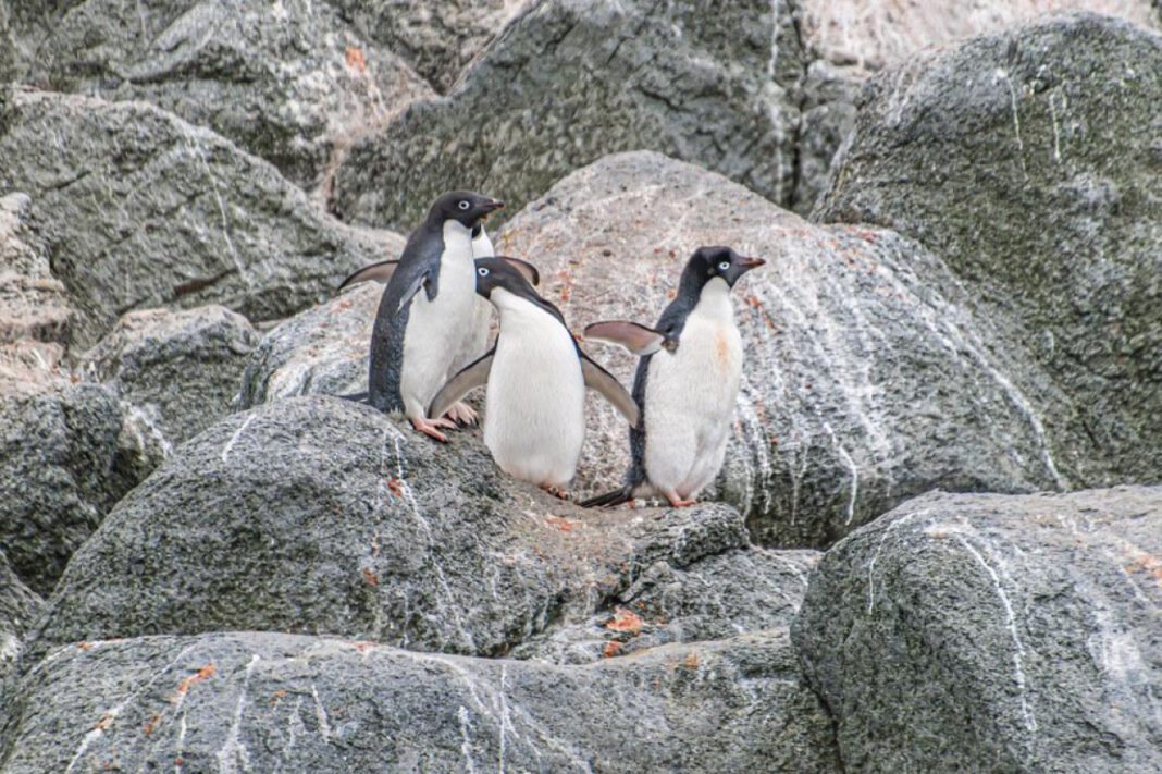 Unraveling the Mysterious Zodiac Code