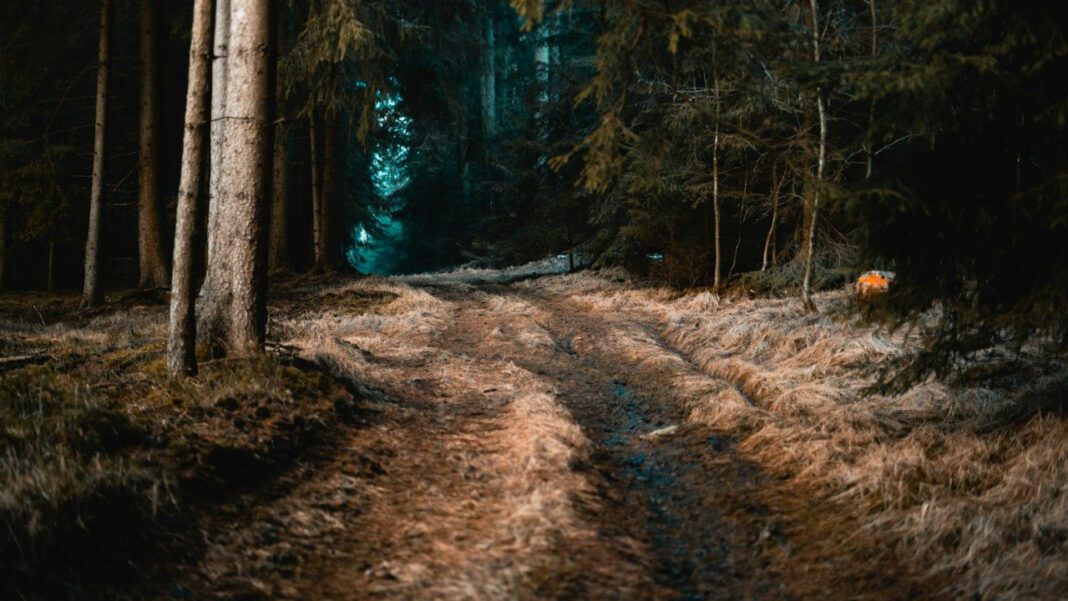 The Enigmatic Story of Jael Elizabeth Steinmeyer