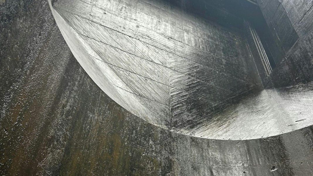 Steve Irwin age at death: A biographical overview