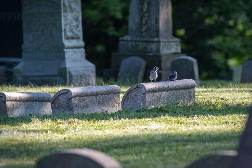 Descendants of Abraham Lincoln: Tracing the Lineage