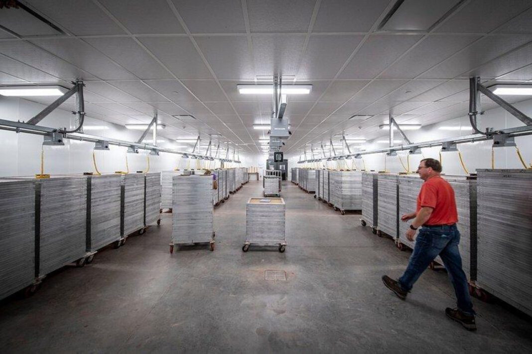 Danny Wegman: A Heartfelt Tribute to a Visionary Leader