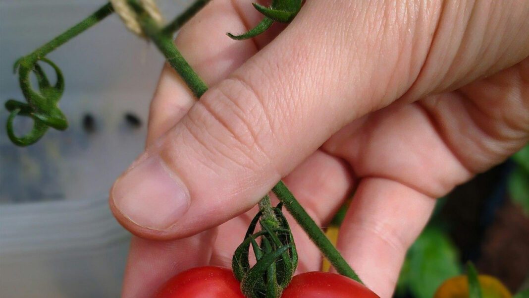 The Insatiable Success of Ed Craven: Unveiling his Net Worth