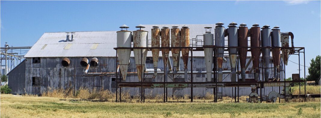 The Heartwrenching Story of Jeopardy Contestant Molly Karol