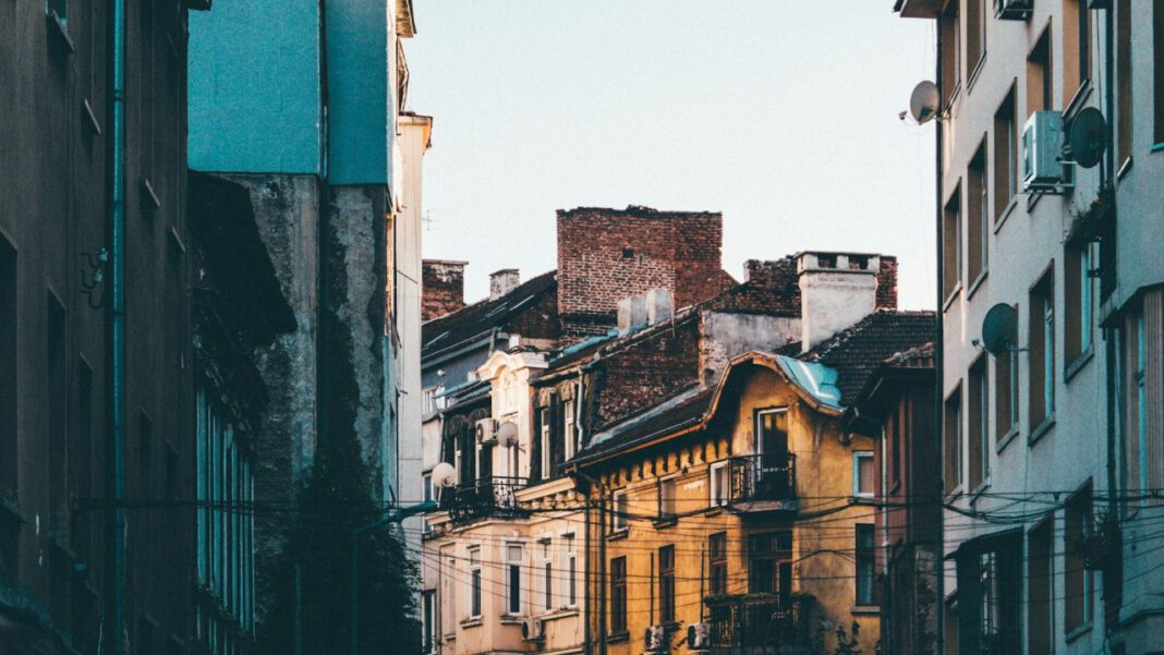 Discovering the Heartwarming Story of Sofía Toache