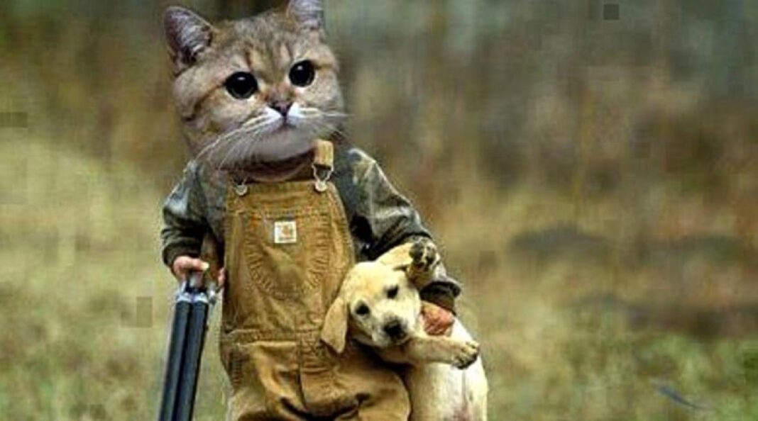 The Heartwarming Love Story of Steve Dulcich and His Wife