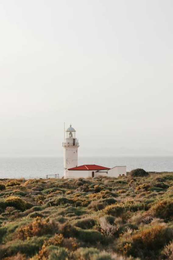 The Inspiring Journey of Heath Carter: Uncovering His Net Worth