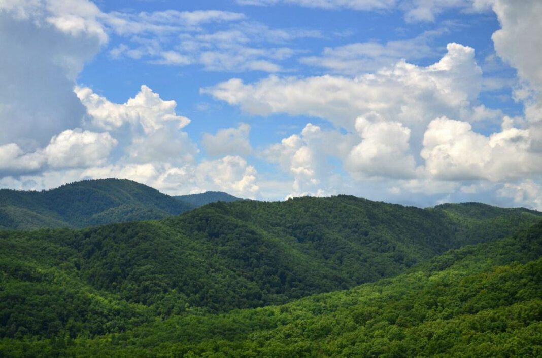 The Infamous Appalachia Mob Gathering